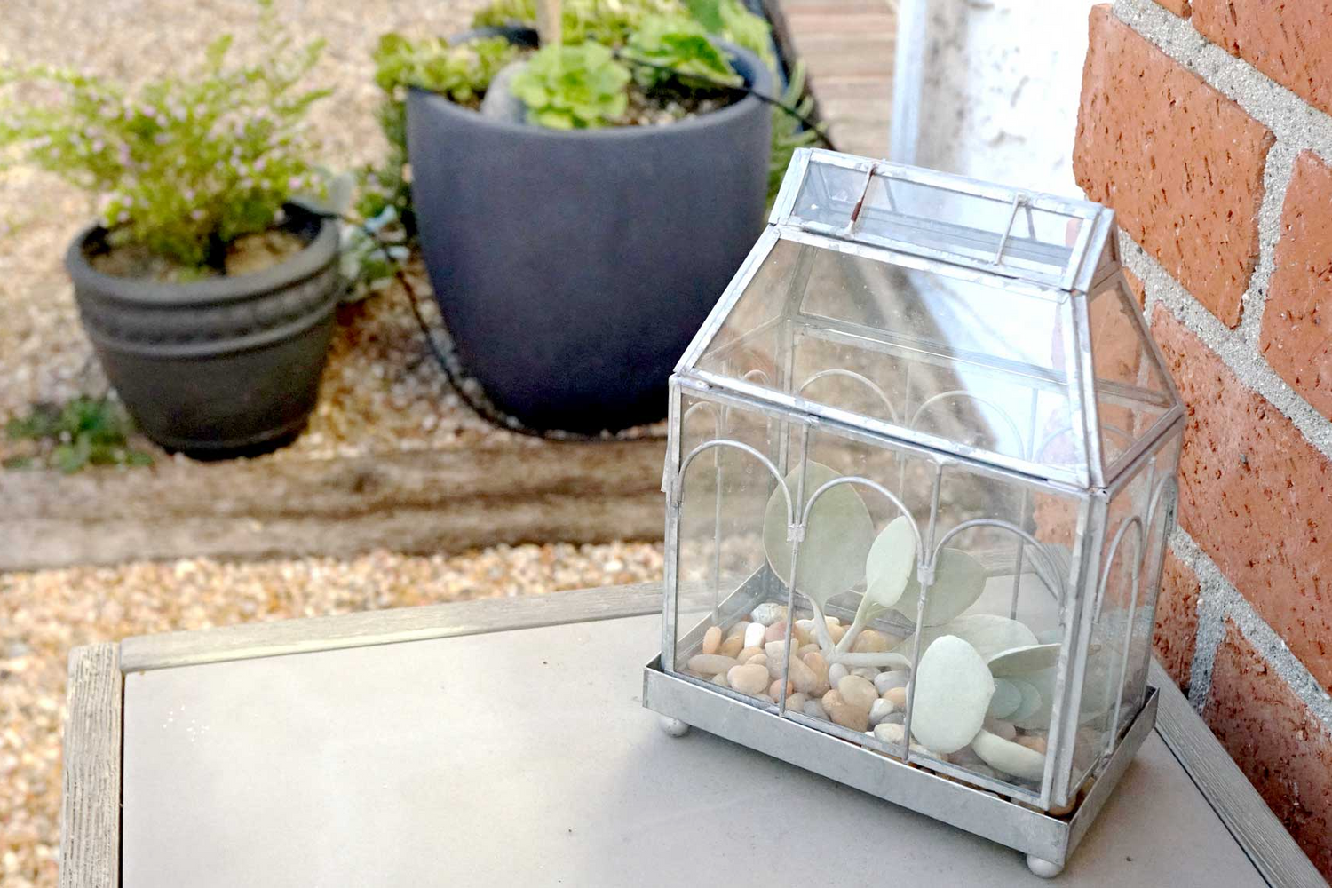 tabletop terrarium plants Tabletop glass terrarium – delamaisonfinds