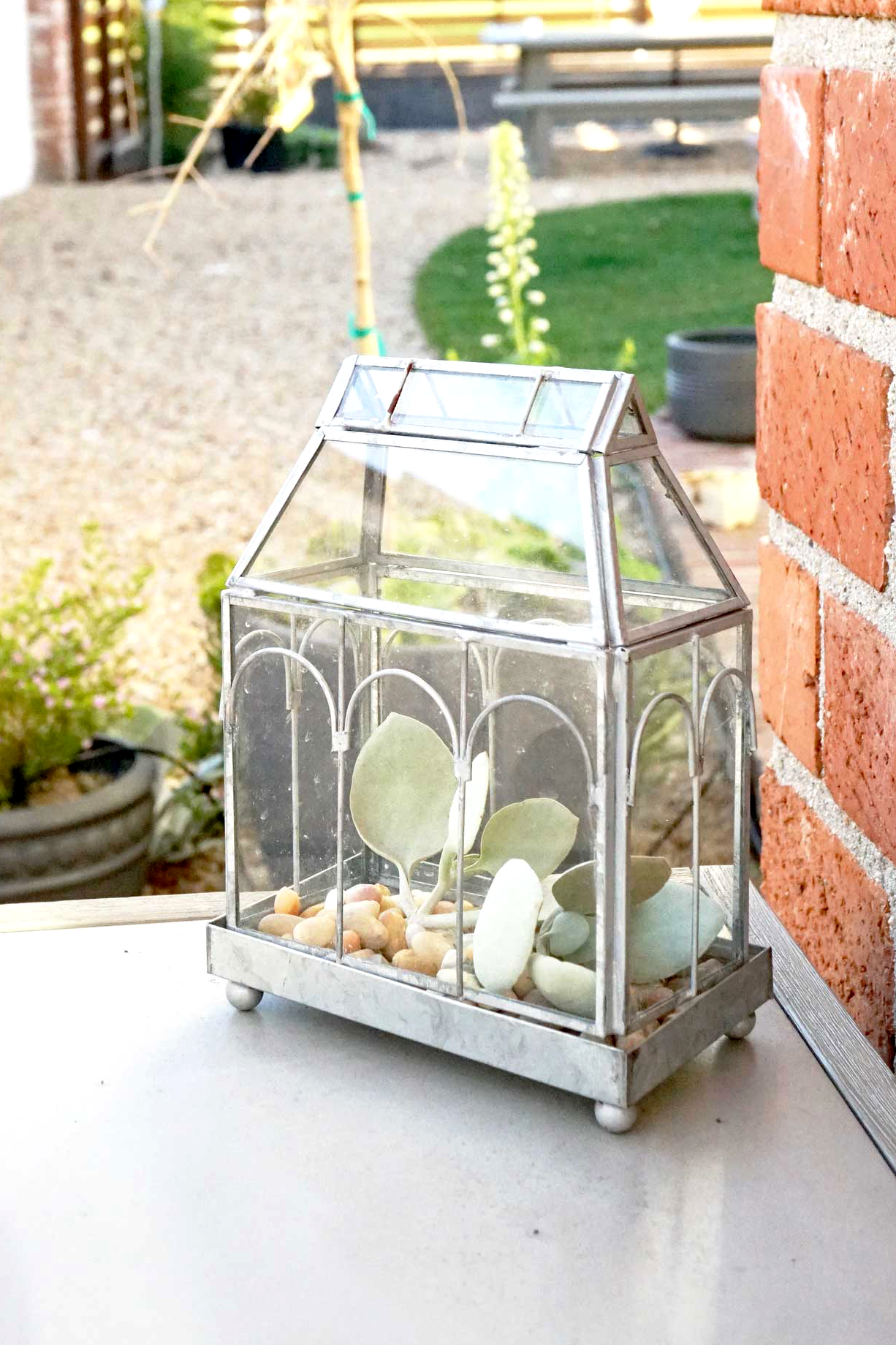 tabletop terrarium plants Tabletop glass terrarium – delamaisonfinds