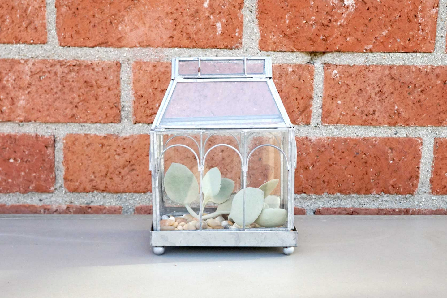 Tabletop glass terrarium