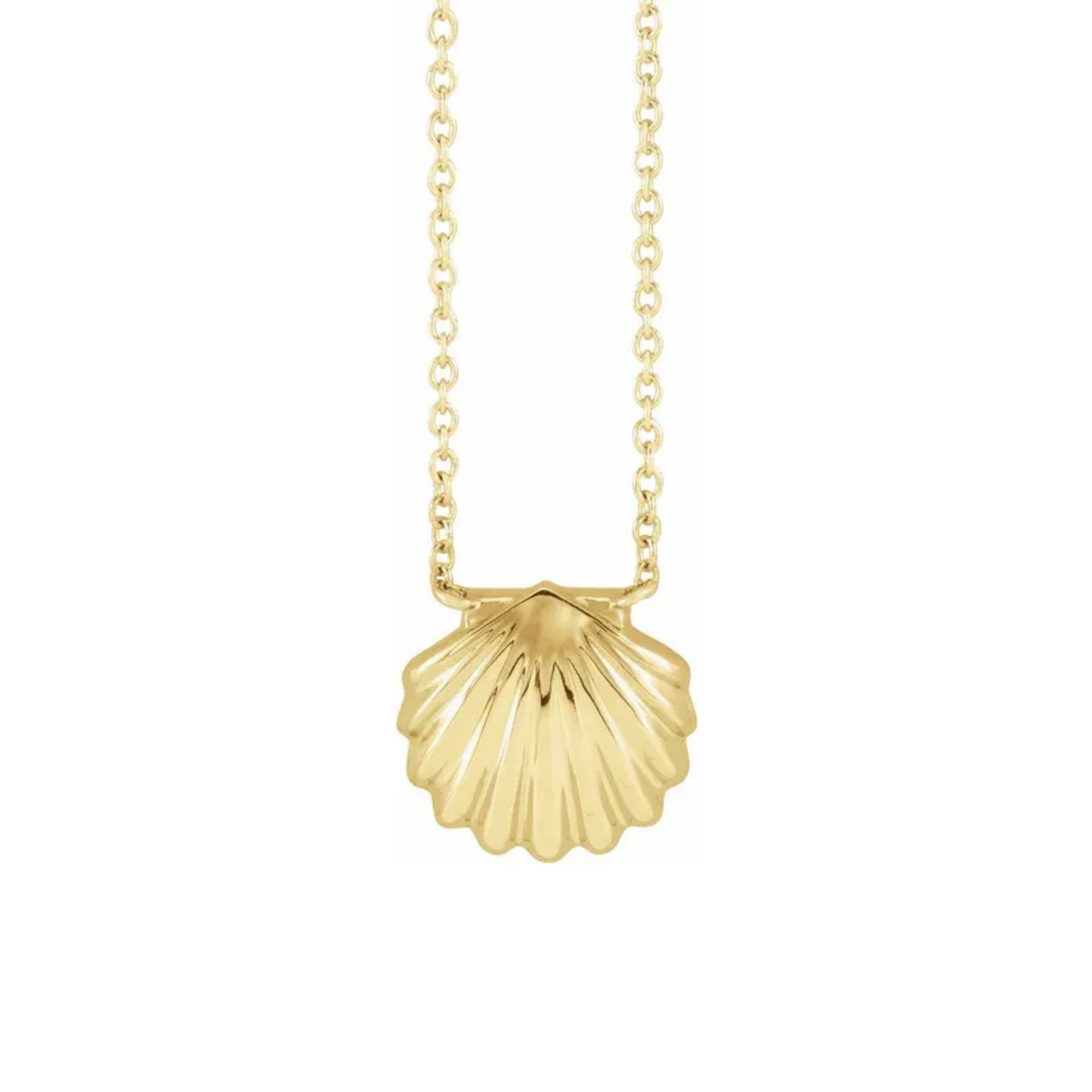 14k gold seashell pendant necklace